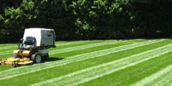 a striped lawn mowing job featuring dark and light green rows done by Strand Lawn Care