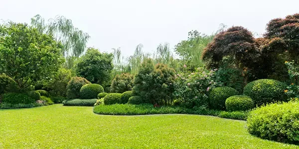 A properly maintained landscape featuring a multitude of trees and shrubs of varying sizes and colors